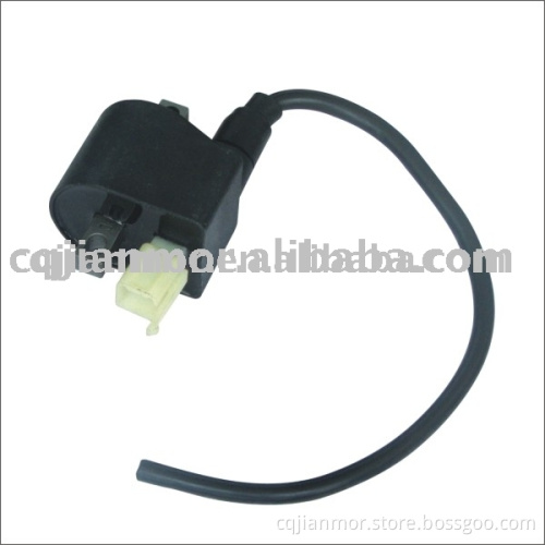 Xte Ignition Coil